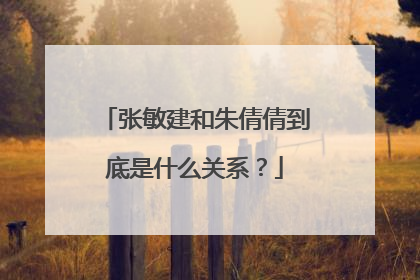 张敏建和朱倩倩到底是什么关系?