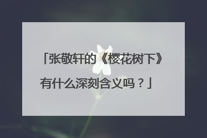 张敬轩的《樱花树下》有什么深刻含义吗？