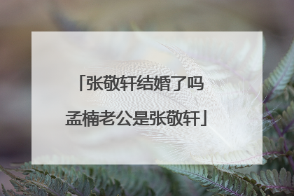 张敬轩结婚了吗 孟楠老公是张敬轩