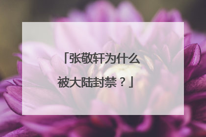 张敬轩为什么被大陆封禁?