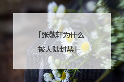 张敬轩为什么被大陆封禁