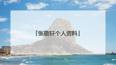 张敬轩个人资料