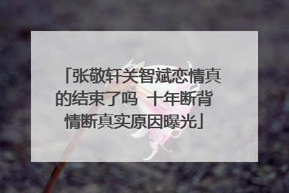 张敬轩关智斌恋情真的结束了吗 十年断背情断真实原因曝光