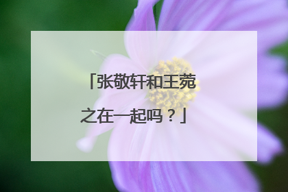 张敬轩和王菀之在一起吗？