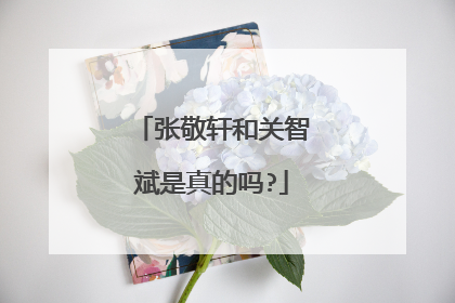 张敬轩和关智斌是真的吗?