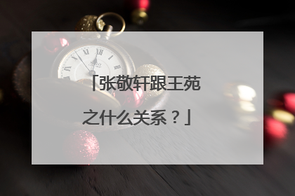 张敬轩跟王苑之什么关系？