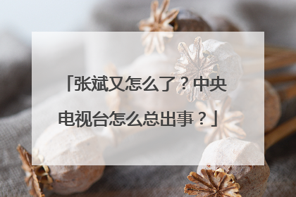 张斌又怎么了？中央电视台怎么总出事？