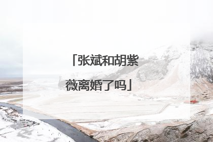 张斌和胡紫薇离婚了吗