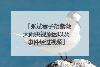 张斌妻子胡紫薇大闹央视原因以及事件经过视频