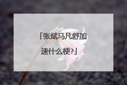 张斌马凡舒加速什么梗?