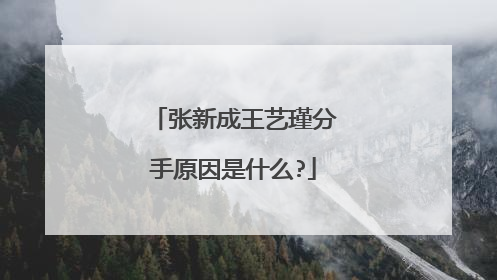 张新成王艺瑾分手原因是什么?