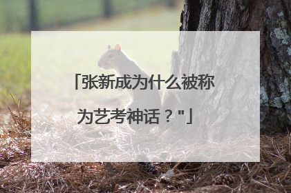 张新成为什么被称为艺考神话?