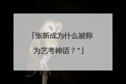 张新成为什么被称为艺考神话？
