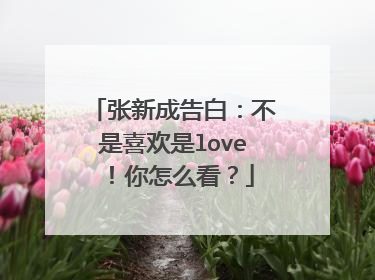 张新成告白：不是喜欢是love！你怎么看？