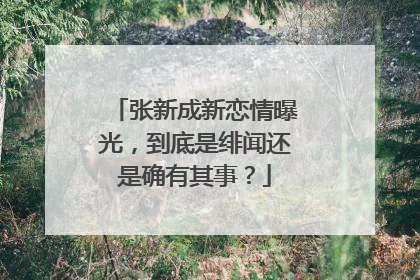 张新成新恋情曝光,到底是绯闻还是确有其事?