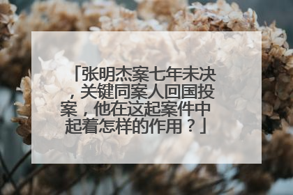 张明杰案七年未决,关键同案人回国投案,他在这起案件中起着怎样的作用?