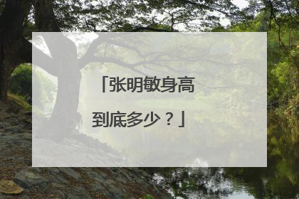 张明敏身高到底多少？