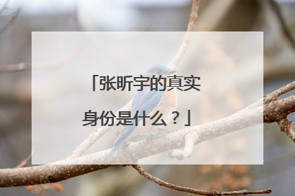张昕宇的真实身份是什么?