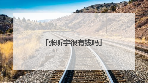 张昕宇很有钱吗