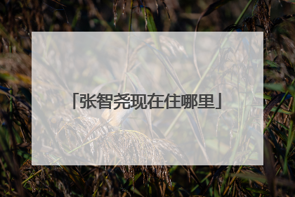 张智尧现在住哪里