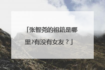 张智尧的祖籍是哪里?有没有女友?