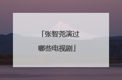 张智尧演过哪些电视剧