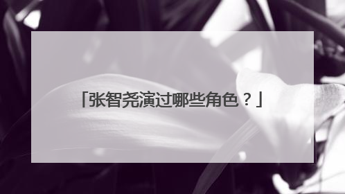 张智尧演过哪些角色？