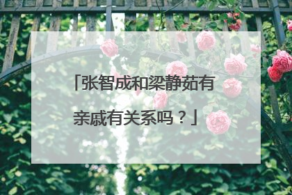 张智成和梁静茹有亲戚有关系吗？