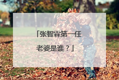 张智霖第一任老婆是谁?