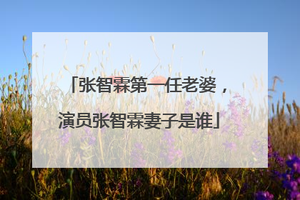 张智霖第一任老婆,演员张智霖妻子是谁