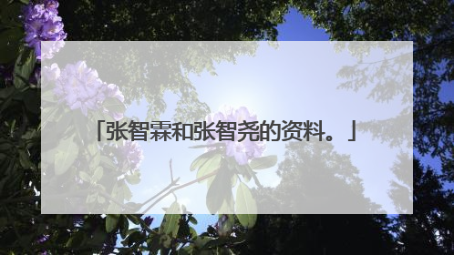 张智霖和张智尧的资料。