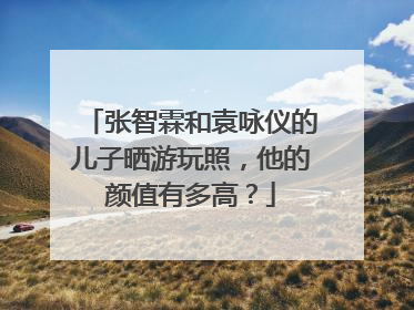 张智霖和袁咏仪的儿子晒游玩照,他的颜值有多高?