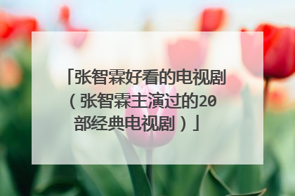 张智霖好看的电视剧（张智霖主演过的20部经典电视剧）