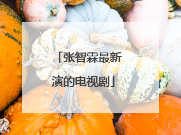 张智霖最新演的电视剧