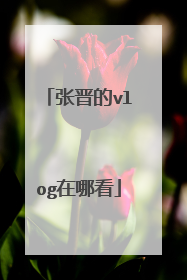 张晋的vlog在哪看