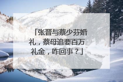 张晋与蔡少芬婚礼,蔡母追要百万礼金,咋回事?