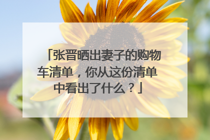 张晋晒出妻子的购物车清单,你从这份清单中看出了什么?