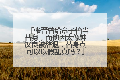 张晋曾给章子怡当替身,而他因太像钟汉良被辞退,替身真可以以假乱真吗?
