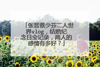 张晋蔡少芬二人世界vlog,结婚纪念日全记录,两人的感情有多好?