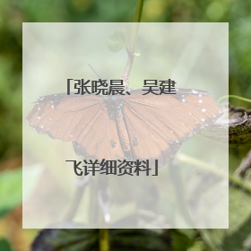 张晓晨、吴建飞详细资料