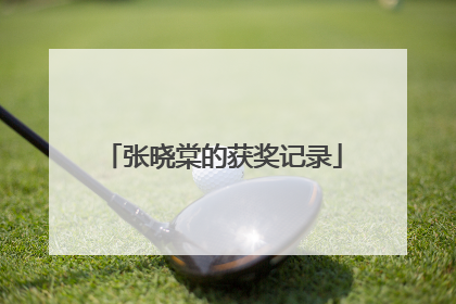 张晓棠的获奖记录