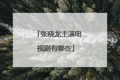 张晓龙主演电视剧有哪些