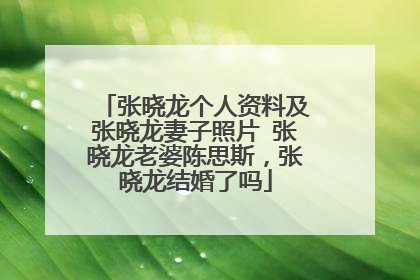 张晓龙个人资料及张晓龙妻子照片 张晓龙老婆陈思斯,张晓龙结婚了吗