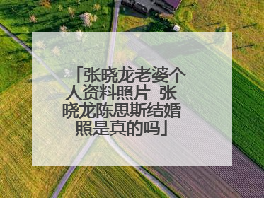 张晓龙老婆个人资料照片 张晓龙陈思斯结婚照是真的吗