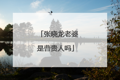 张晓龙老婆是曹贵人吗