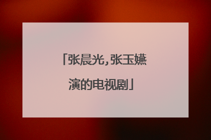 张晨光,张玉嬿 演的电视剧
