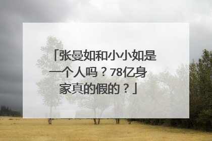 张曼如和小小如是一个人吗?78亿身家真的假的?