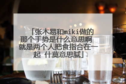 张木易和miki做的那个手势是什么意思啊 就是两个人把食指合在一起 什莫意思腻