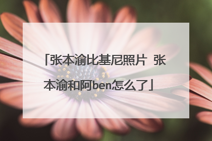 张本渝比基尼照片 张本渝和阿ben怎么了