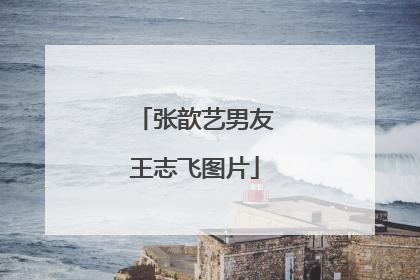 张歆艺男友王志飞图片